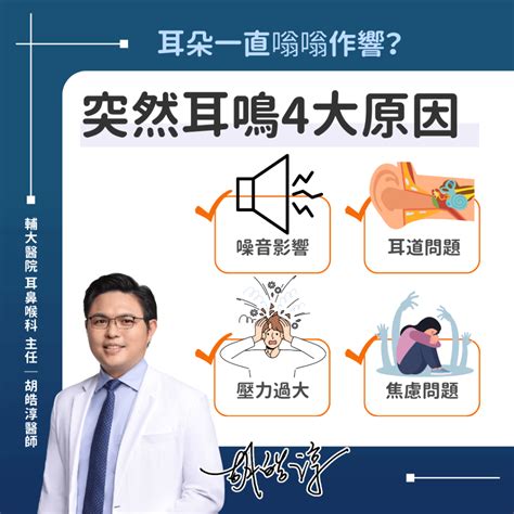 右邊耳鳴|耳鳴怎麼辦？耳鼻喉科醫師解析原因、治療、解決方法